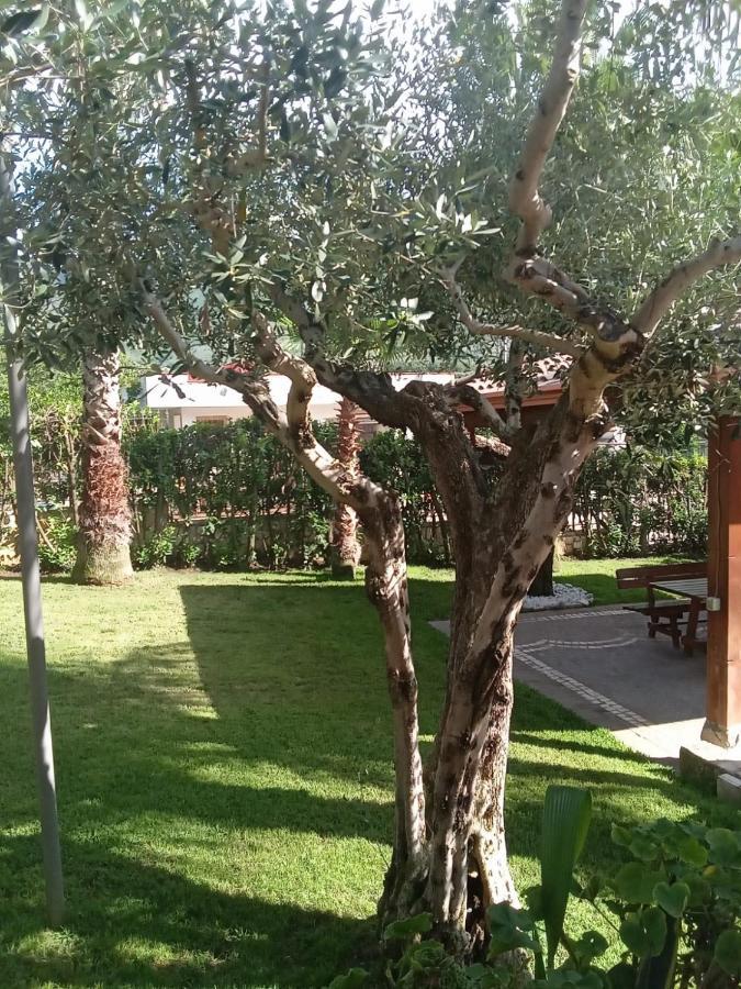 Villa Agata Forchia Exterior foto